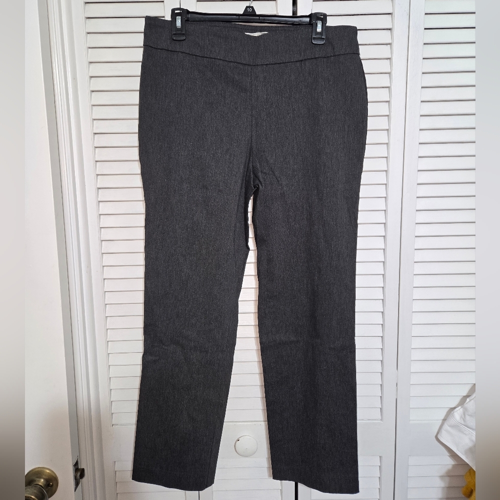 Dana Buchman Women's M - Short Gray Pull-on Pants